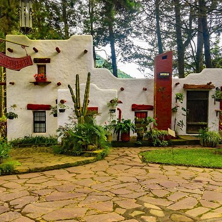 Los Naranjos Town Houses 部屋 写真