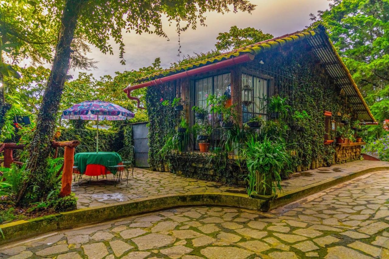 Los Naranjos Town Houses エクステリア 写真
