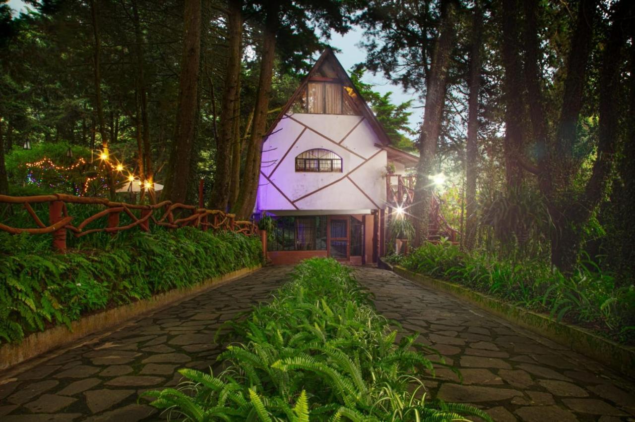 Los Naranjos Town Houses エクステリア 写真