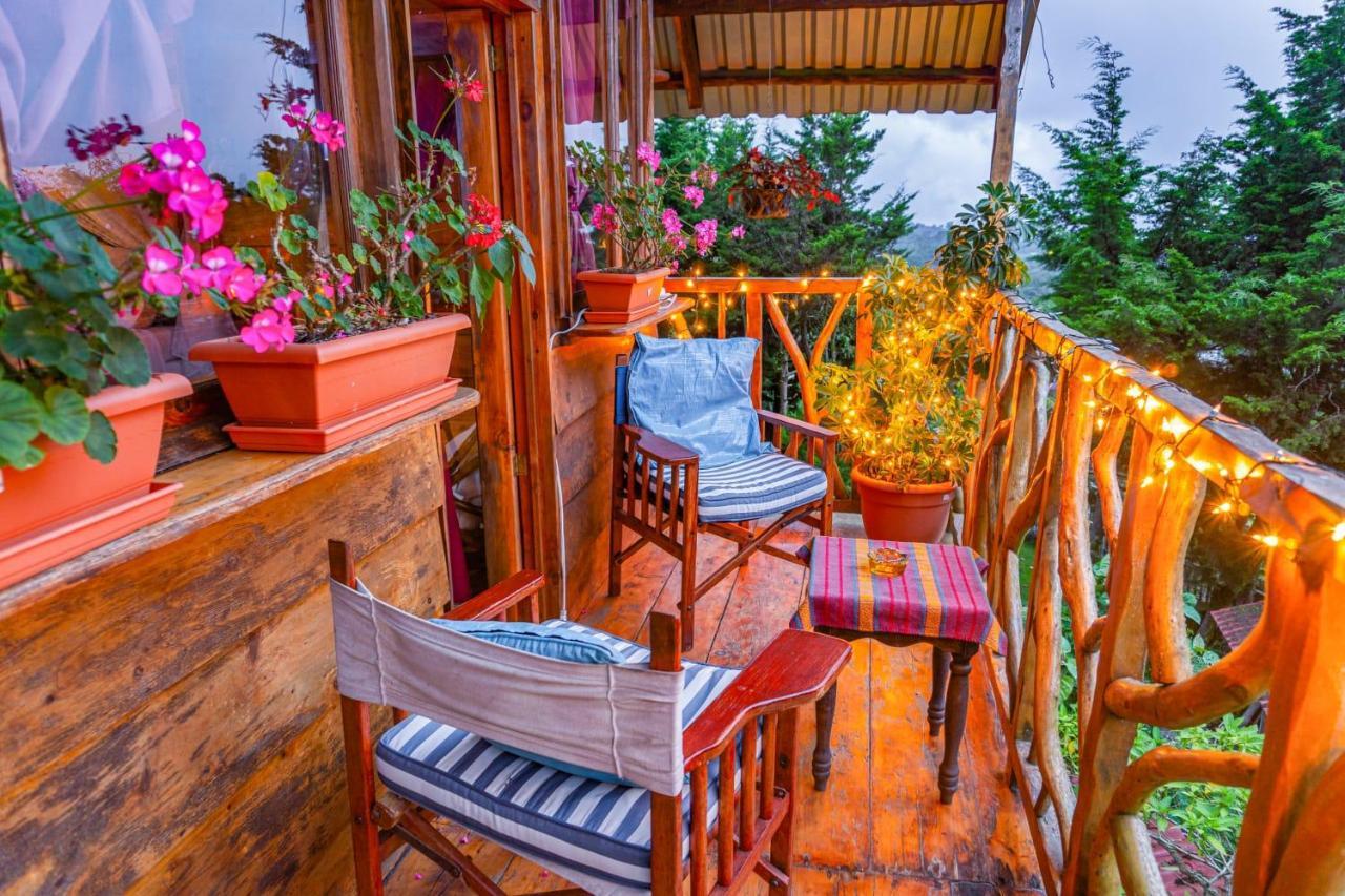 Los Naranjos Town Houses エクステリア 写真