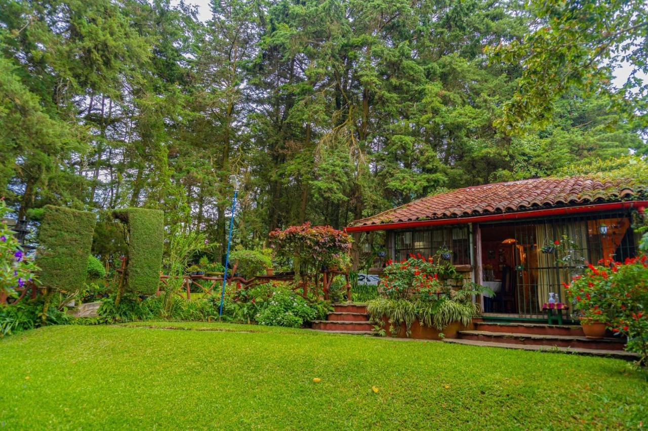 Los Naranjos Town Houses エクステリア 写真