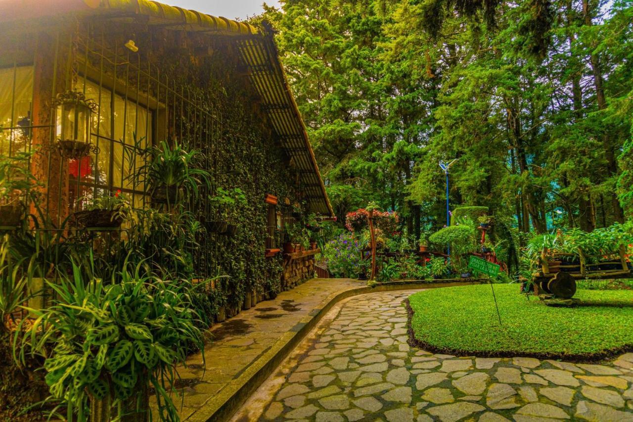Los Naranjos Town Houses エクステリア 写真