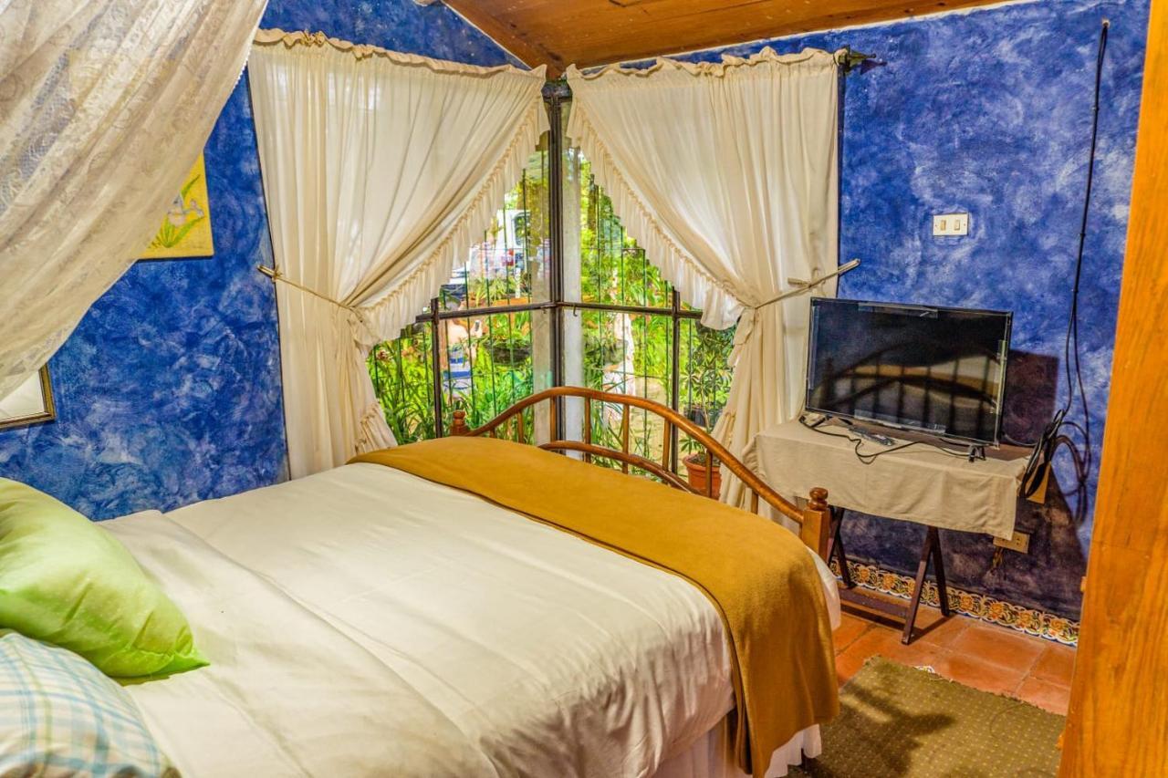 Los Naranjos Town Houses エクステリア 写真