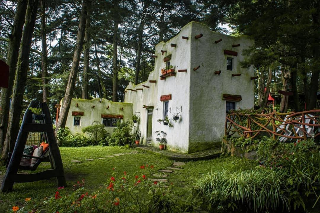 Los Naranjos Town Houses エクステリア 写真