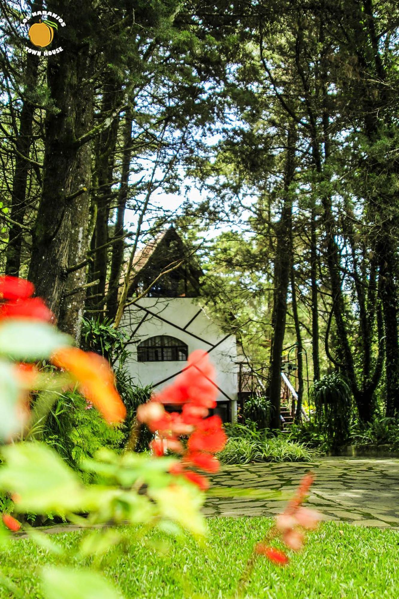 Los Naranjos Town Houses 部屋 写真